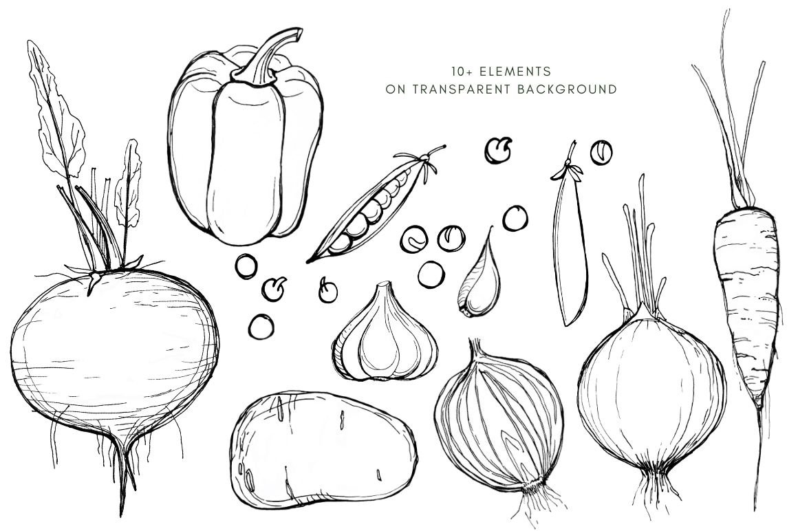 Beautiful vegetables drawn.