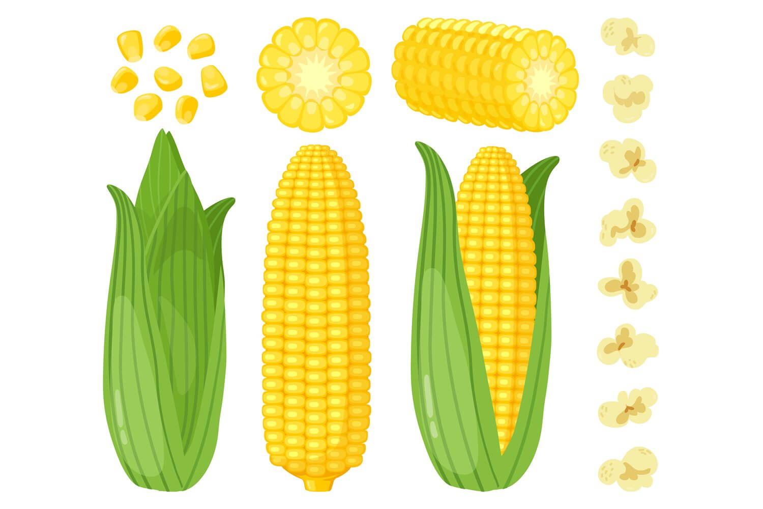 Bright green and yellow corn.