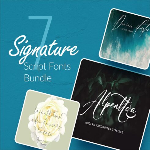 7 signature script fonts bundle main cover.