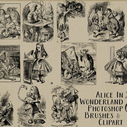 Alice In Wonderland Photoshop Brushes, EPS Vectors & PNG | Master Bundles