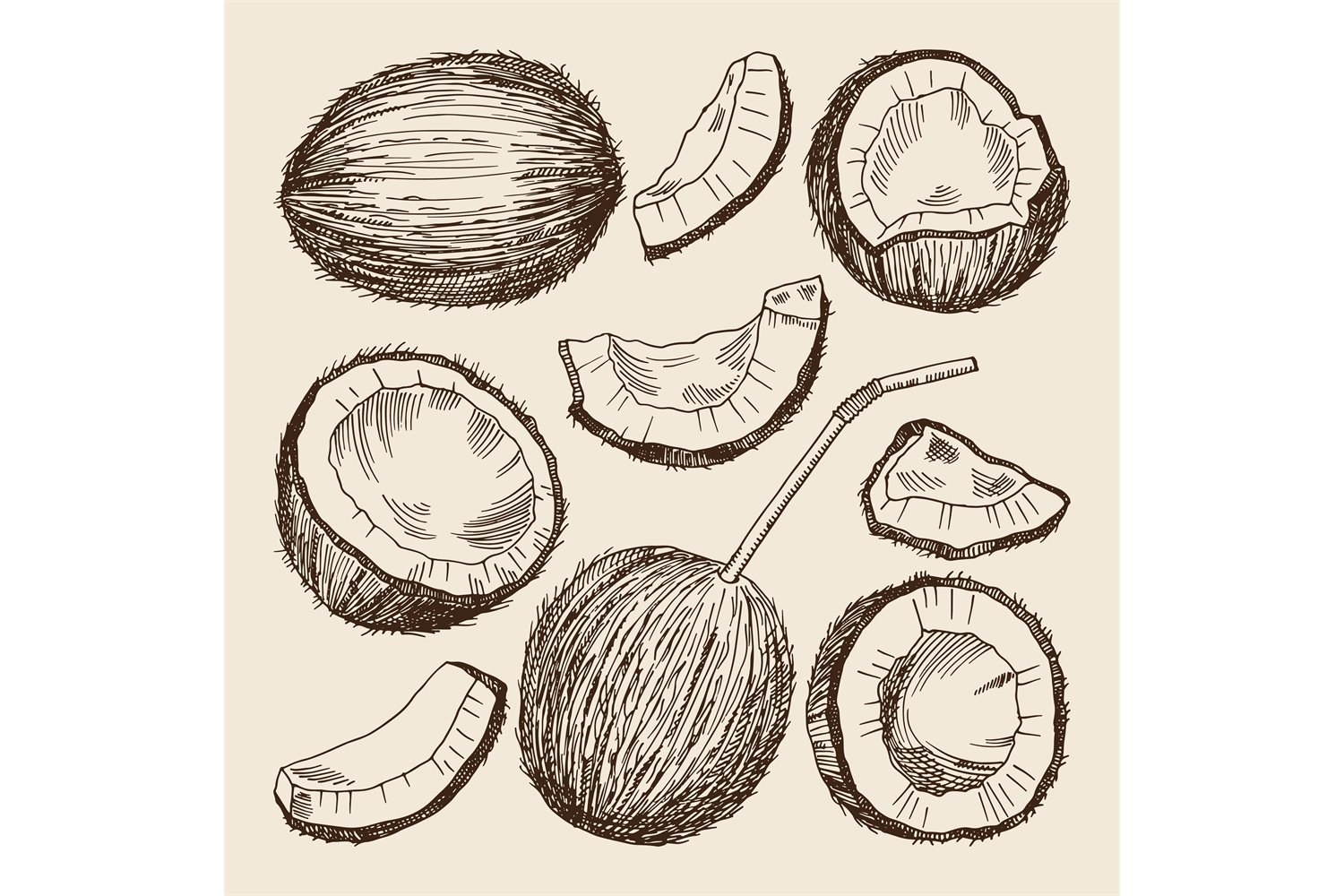 Light beige background with hand drawn coconuts.