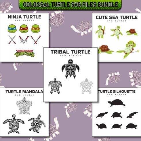 Colossal Turtle SVG Files Bundle cover image.