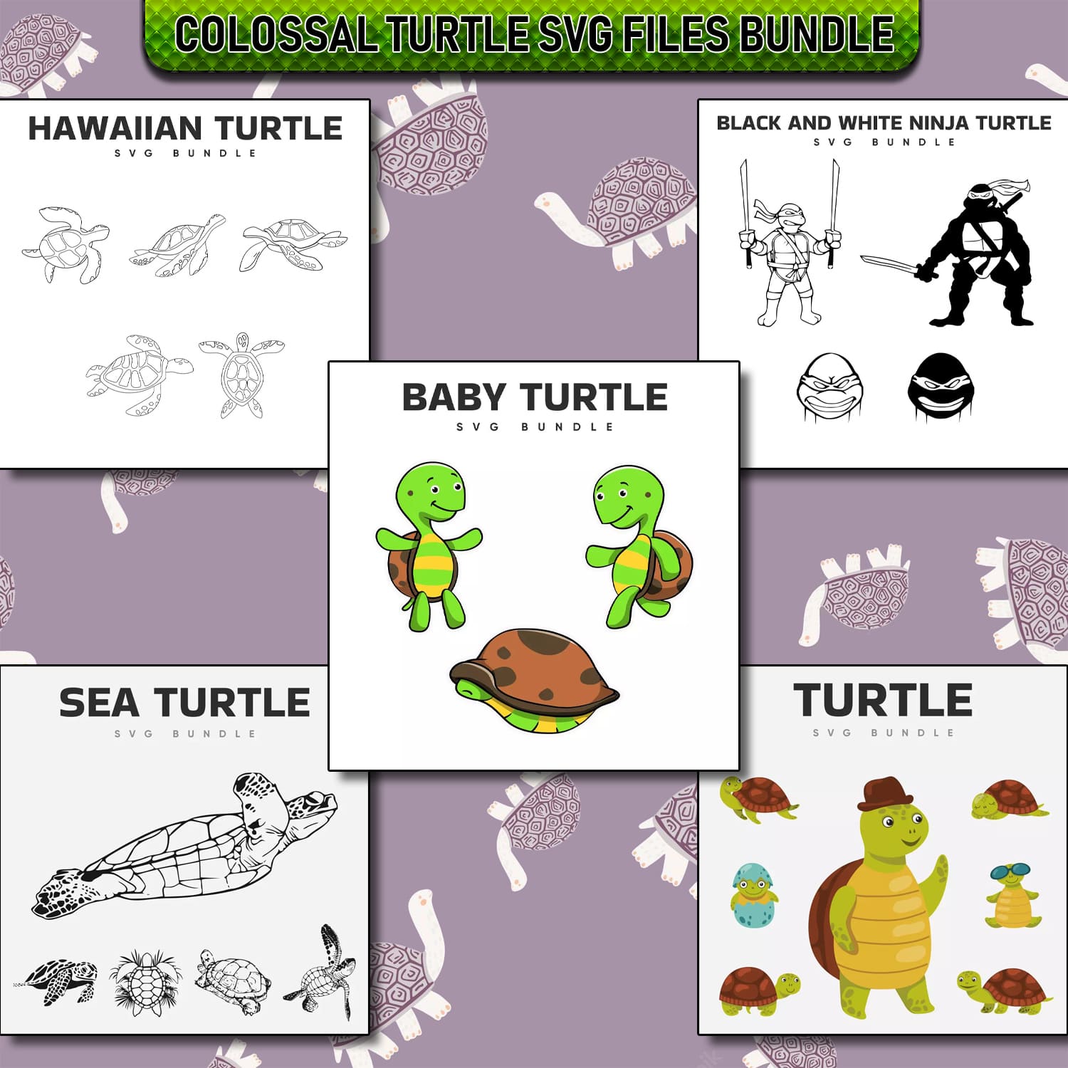 Set of four coloring pages for a baby turtle.