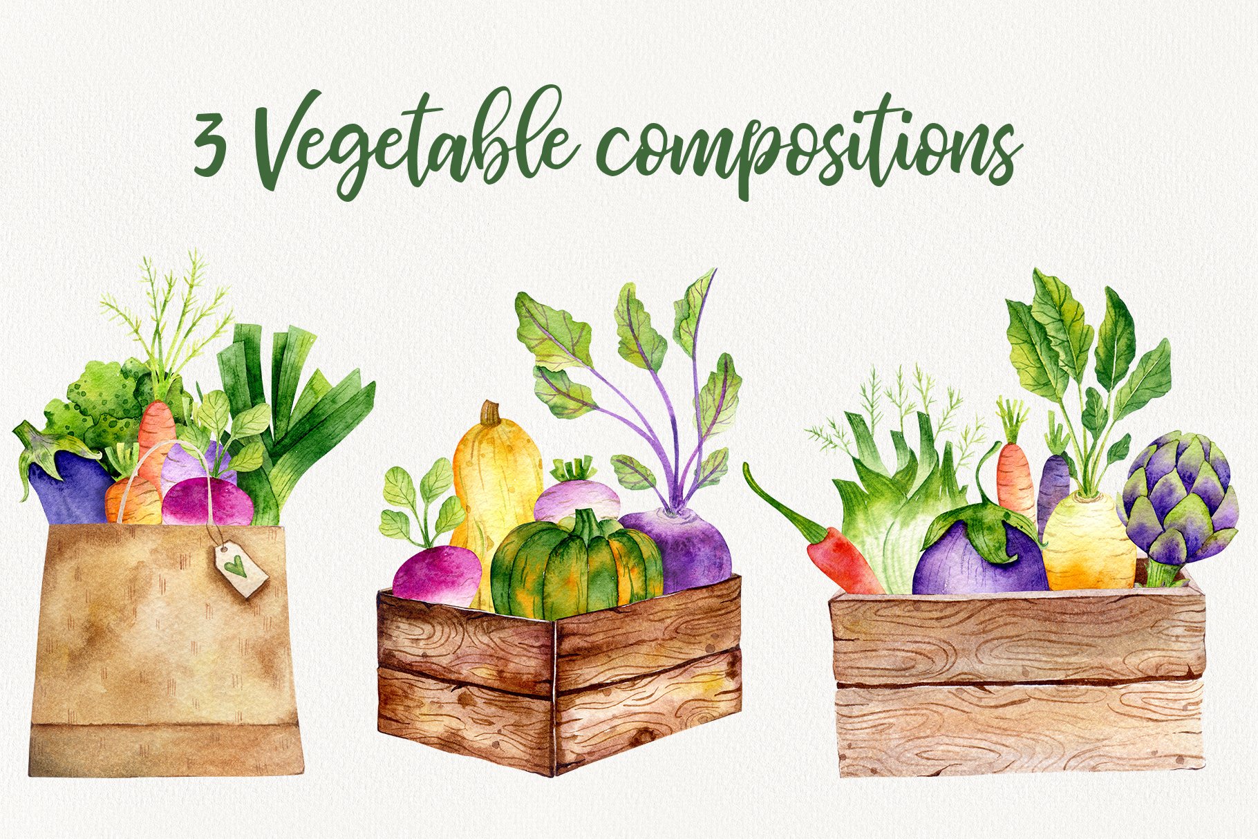 Beautiful vegetables are depicted in boxes.