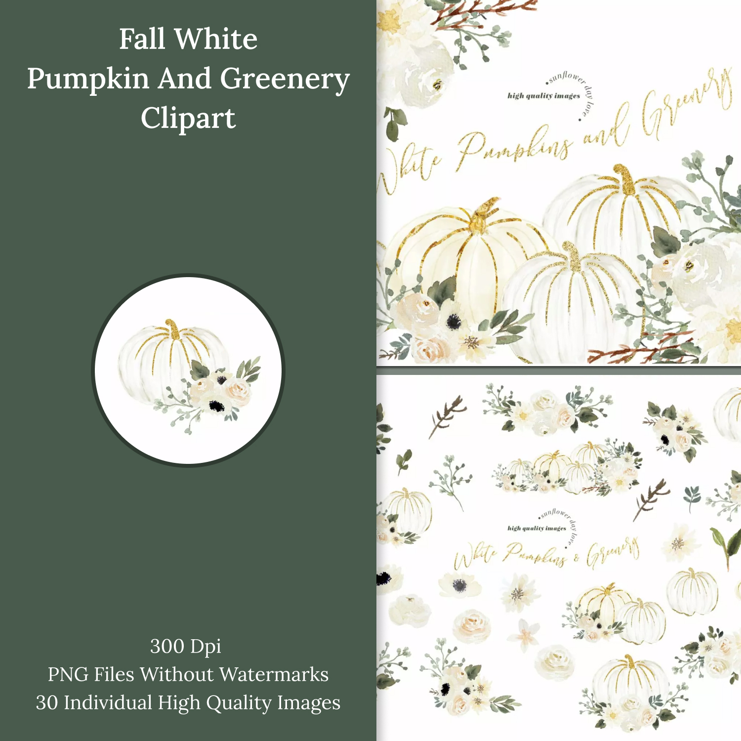 Prints of fall white pumpkin greenery clipart.