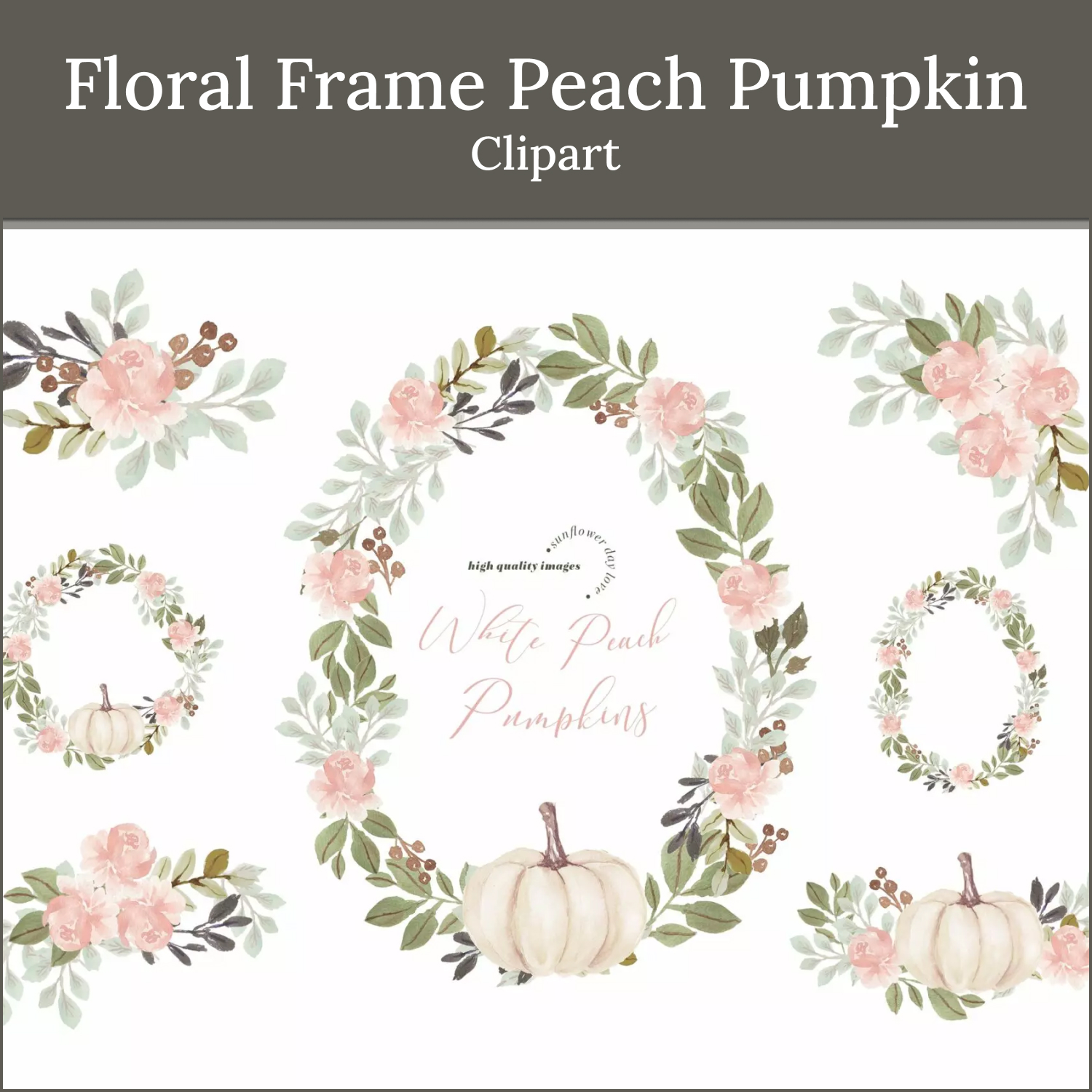 Prints of floral frame peach pumpkin clipart.
