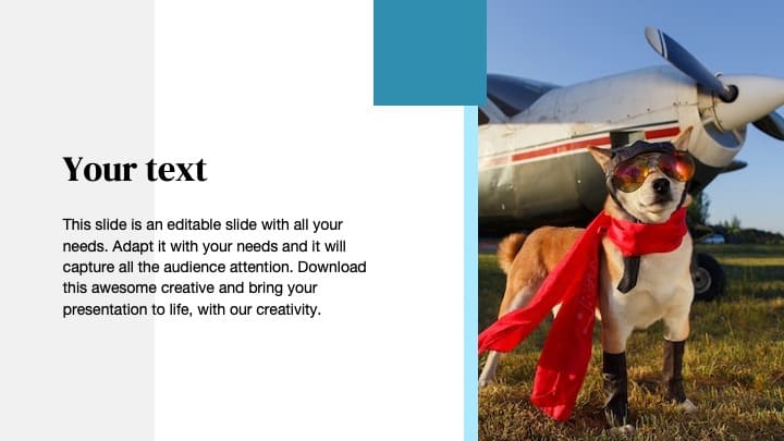 Fun Powerpoint Slides With Airlines Preview.