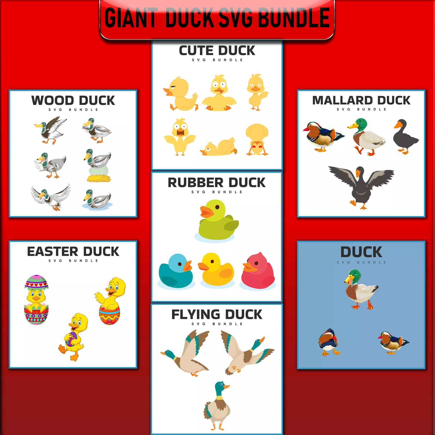 Poster showing different types of ducks.