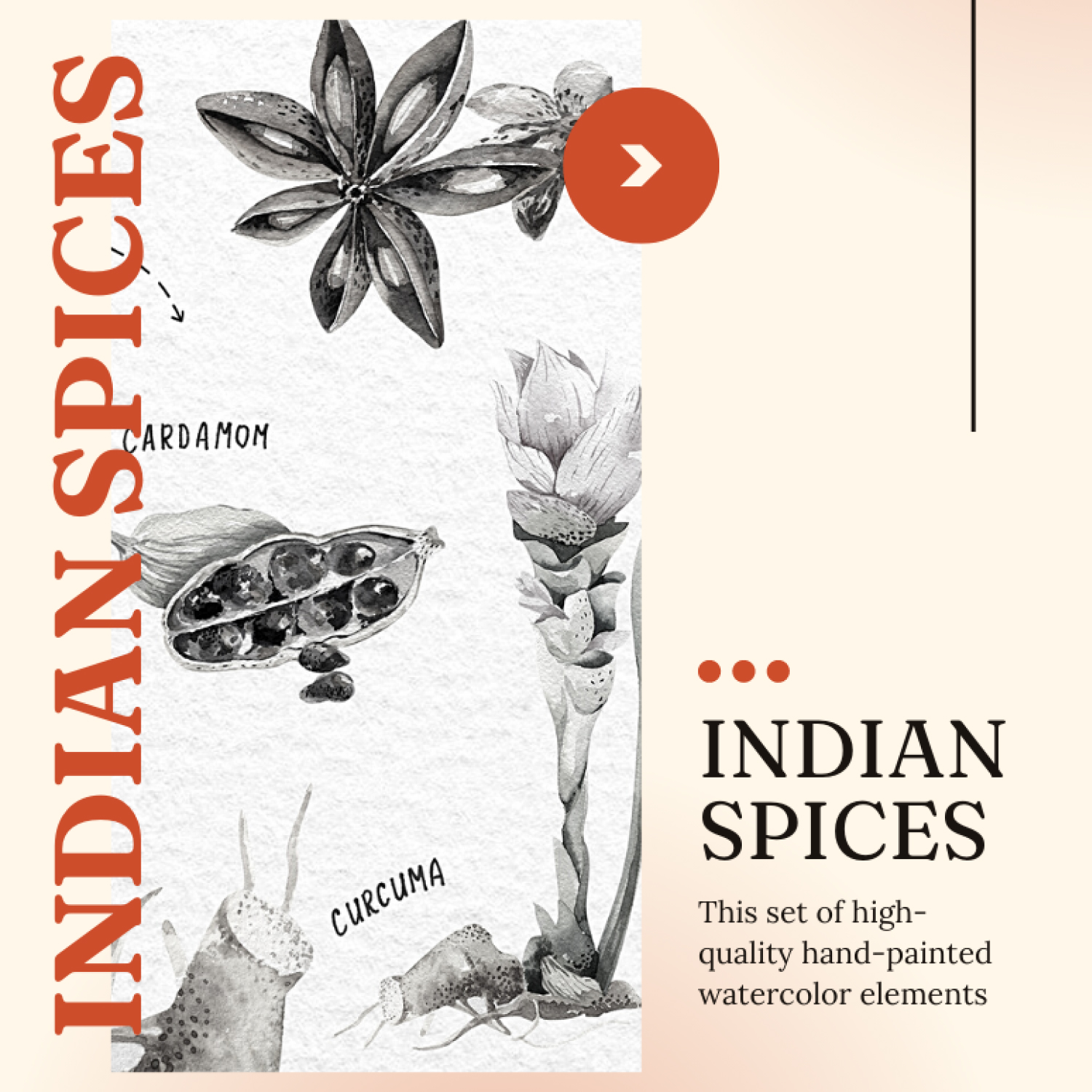 Prints of indian spices.