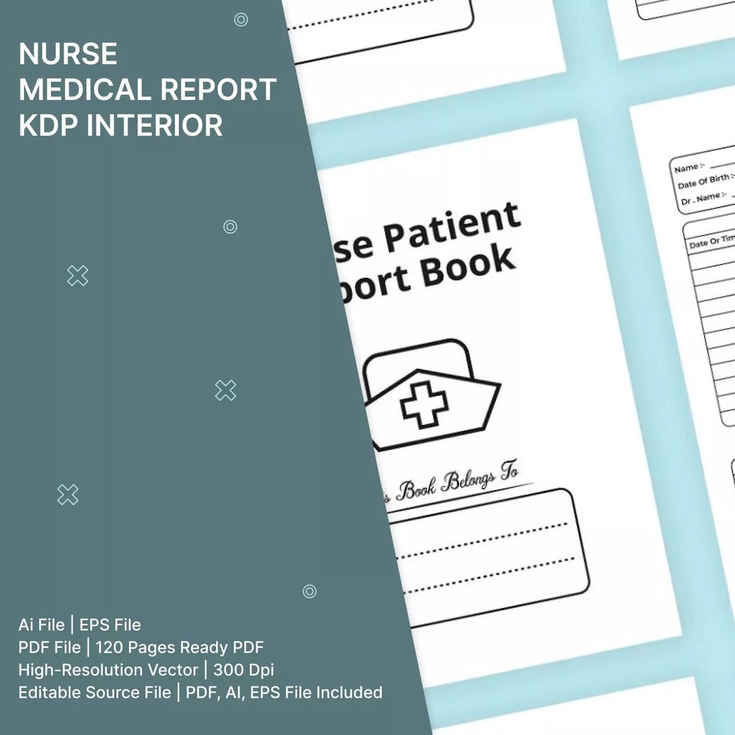Nurse Medical Report Kdp Interior Preview image.