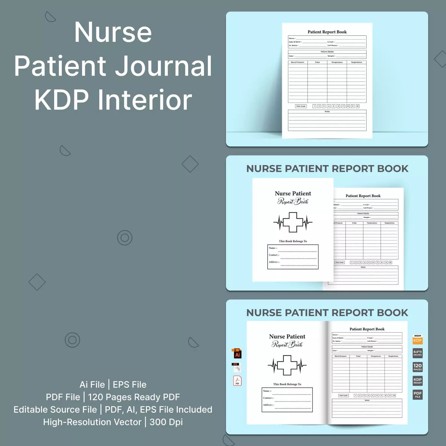 Nurse Patient Journal Kdp Interior Preview image.