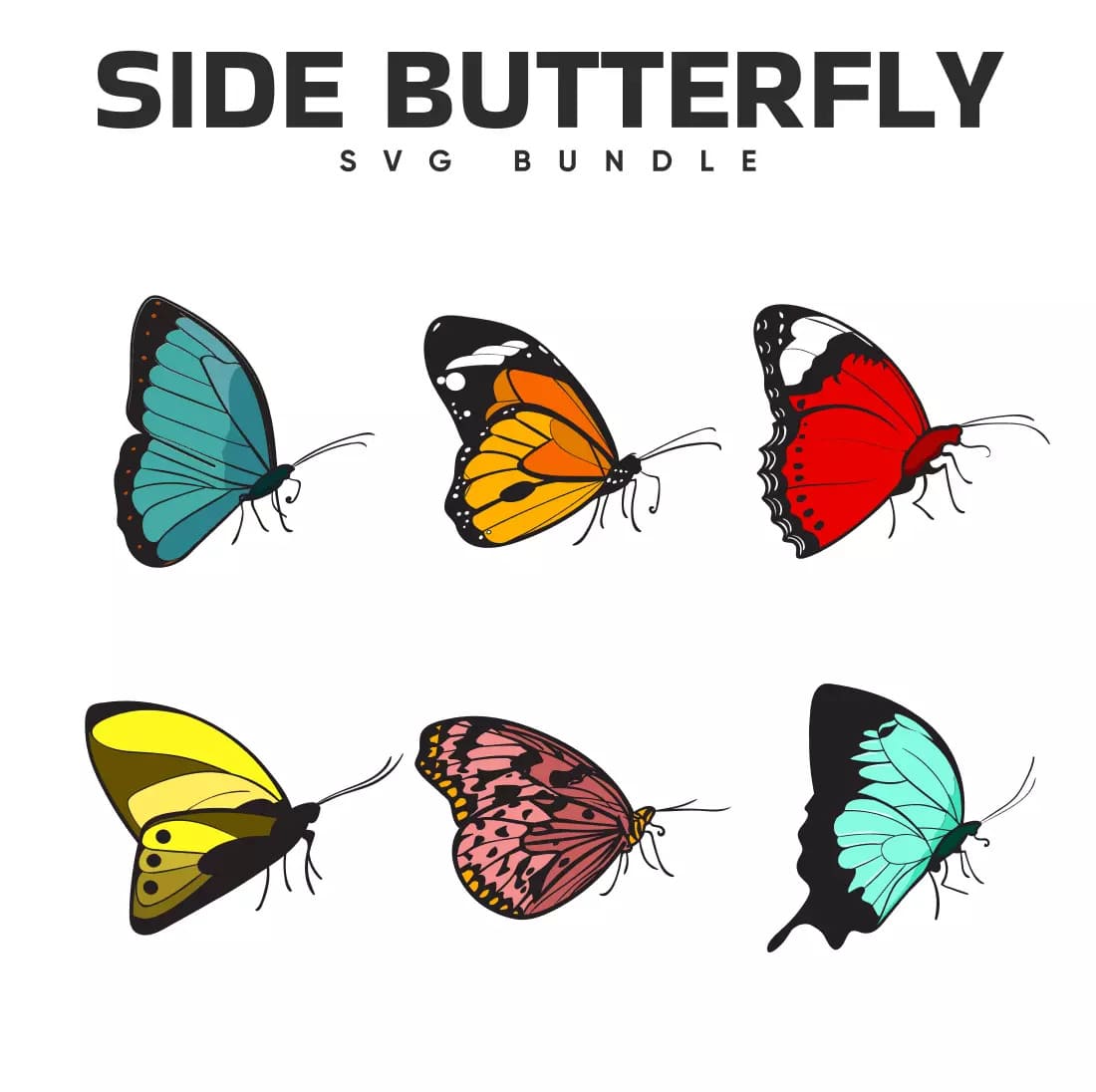 Group of butterflies with the words side butterfly svg bundle.