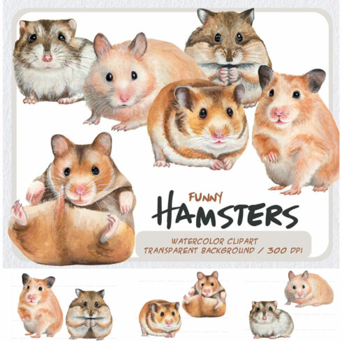 Prints of watercolor hamsters clipart set.