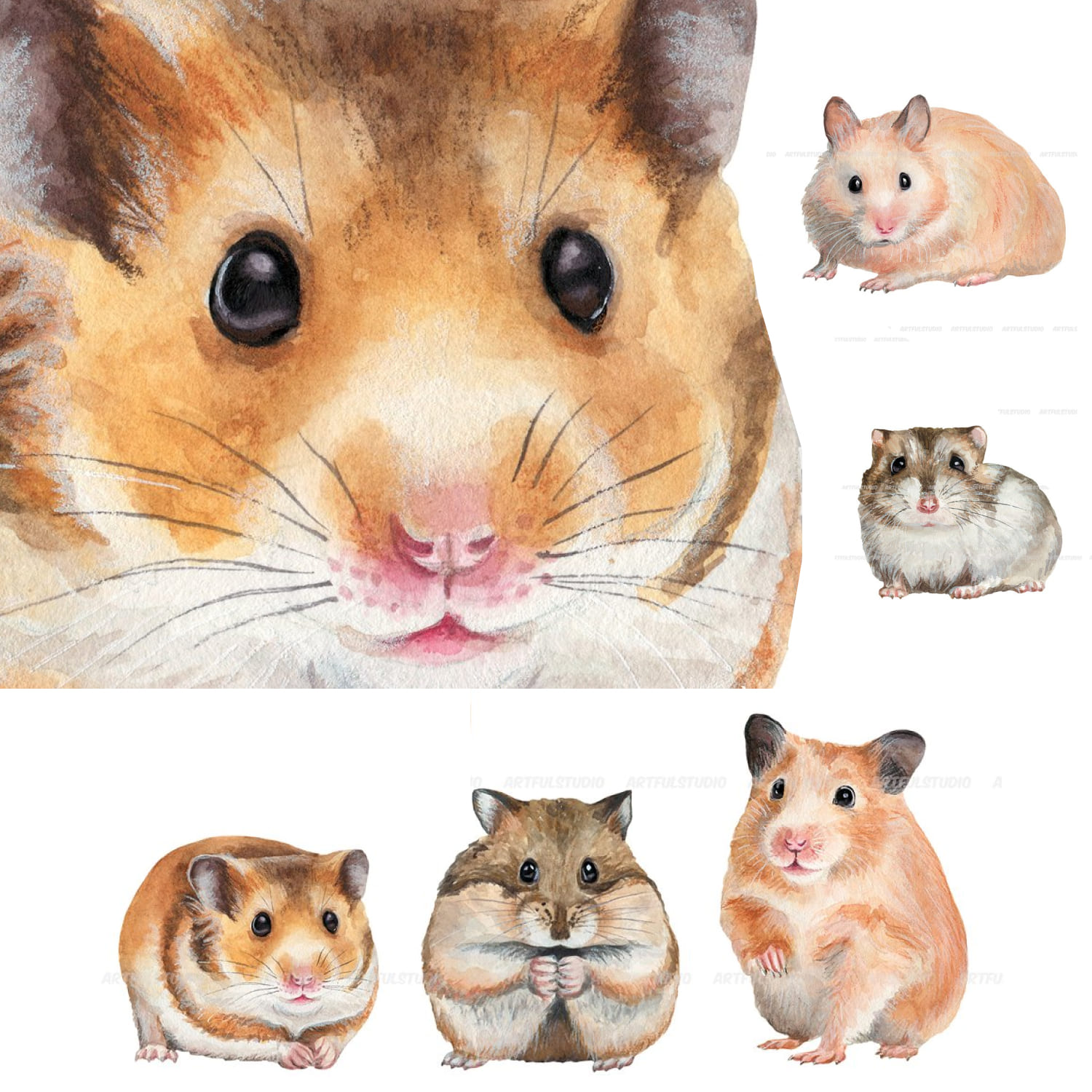 Watercolor hamsters clipart set preview.