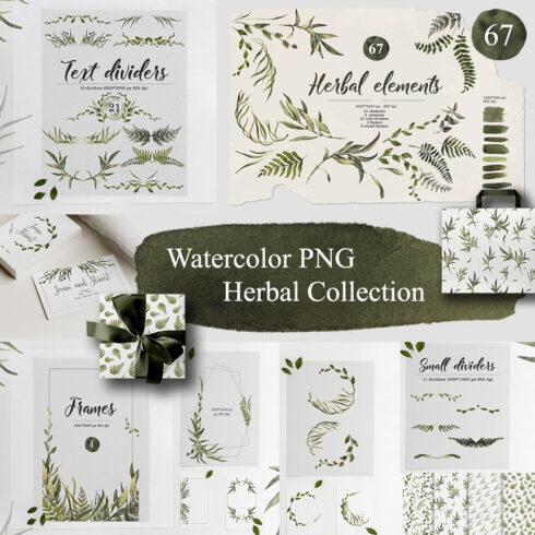 Watercolor Herbal Collection PNG cover image.