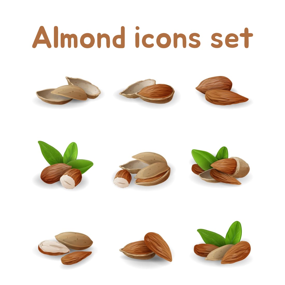 Almond icons set on the white background.