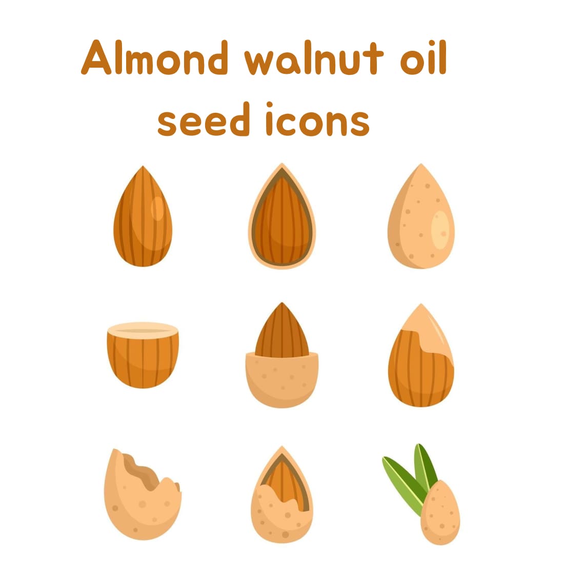 Almond walnut oil seed icons.