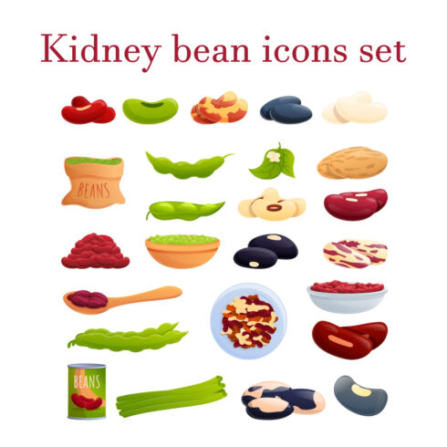 Preview kidney bean icons set.