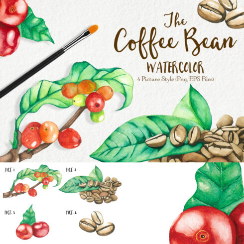 Prints of watercolor coffee bean.