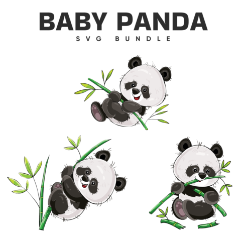 Baby Panda SVG Designs cover image.