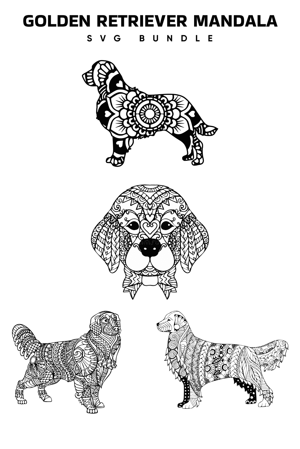 The golden retriever and the dachshund coloring pages.