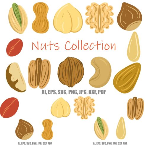 Collection nuts, seeds brazil walnut, cashew, pecan, almond, first picture 1100x1100.