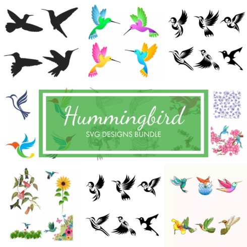 Hummingbird svg designs bundle, first picture 1500x1500.