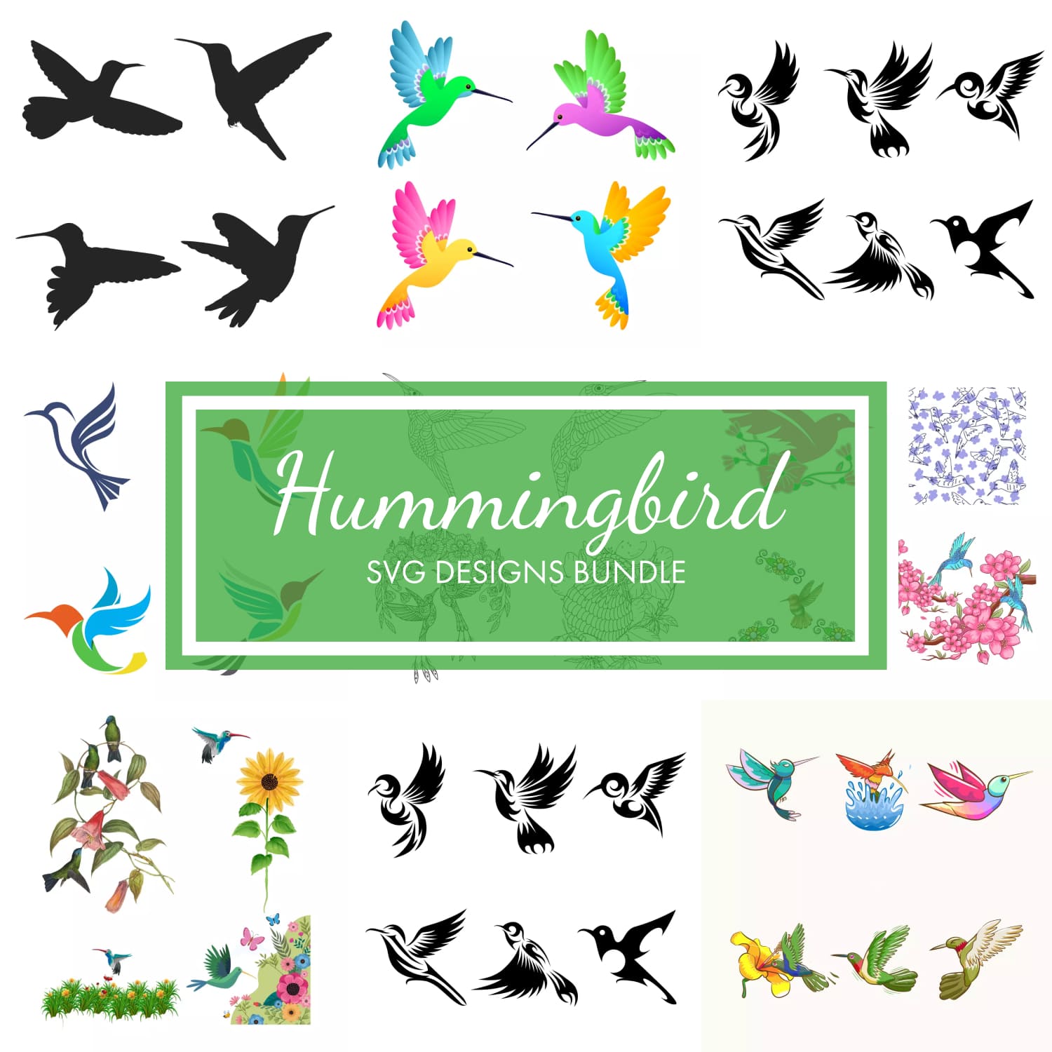 Hummingbird svg designs bundle.