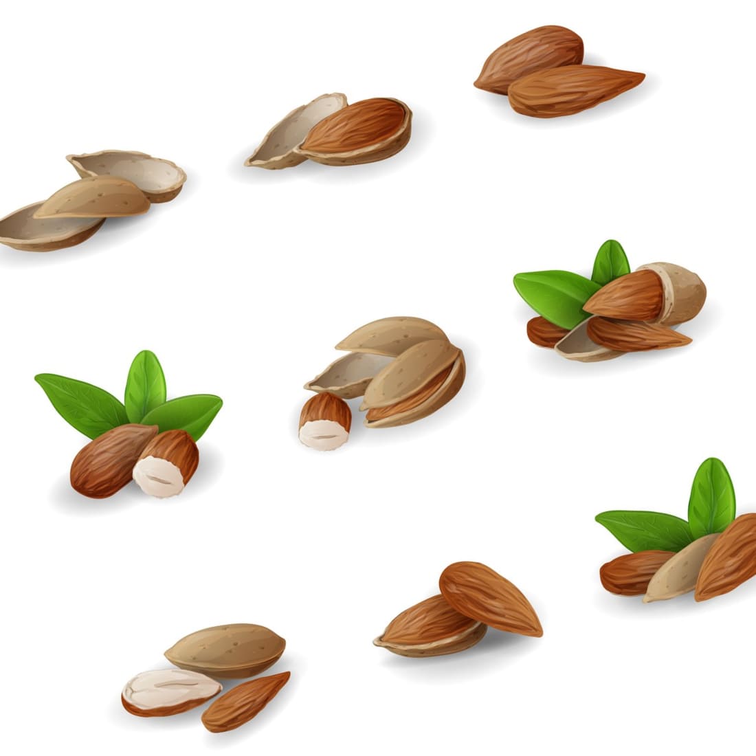 Almonds with green leaves.