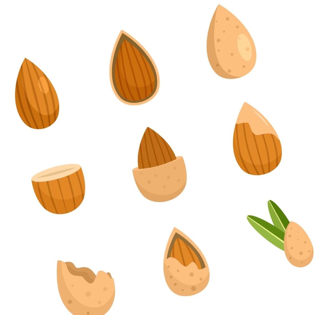 Diagonal picture of Almond walnut oil seed icons.