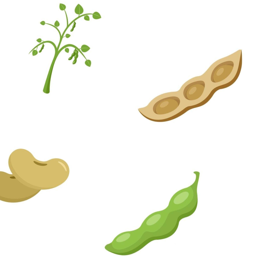 Soybean soy beans seed icons set of prints.