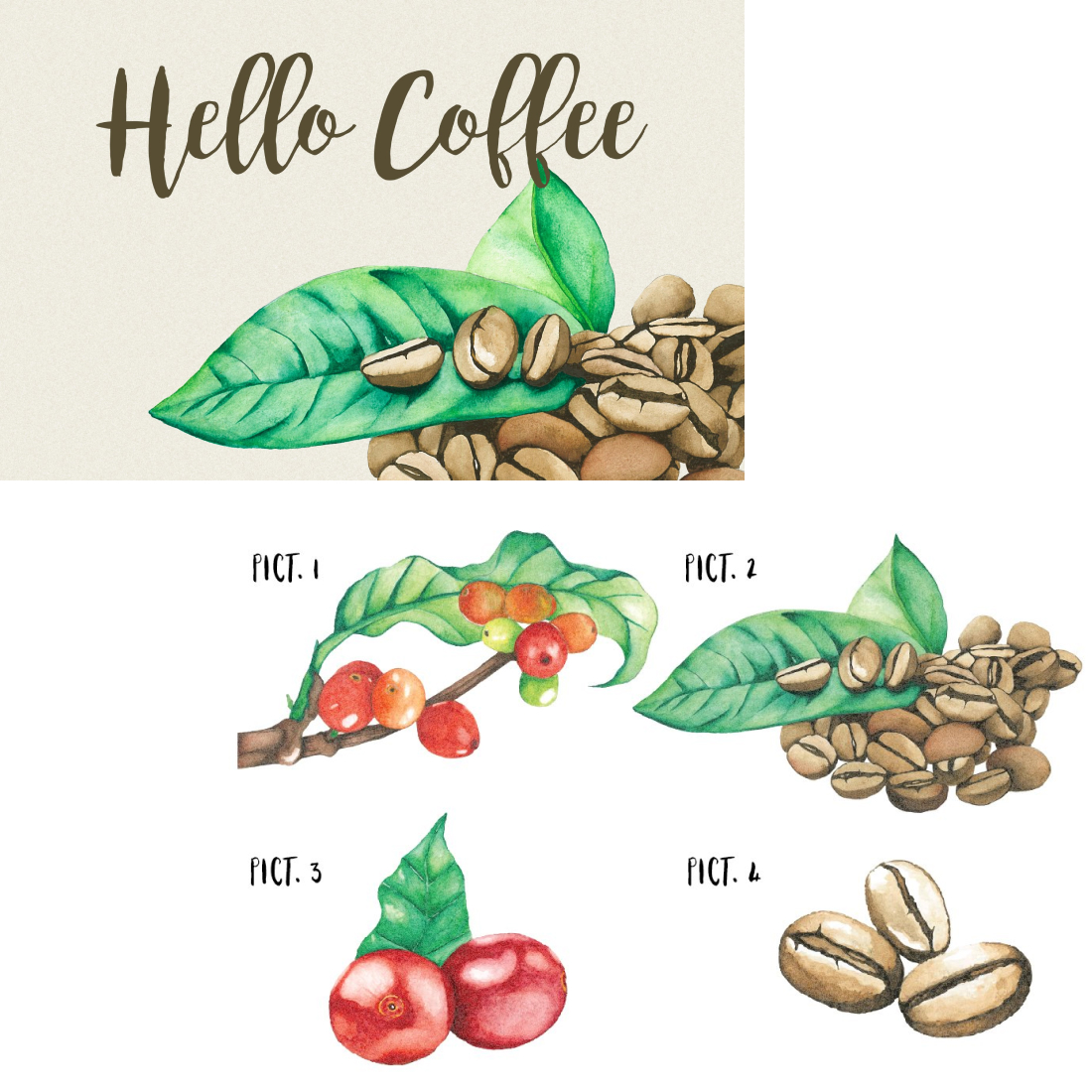 Preview watercolor coffee bean.