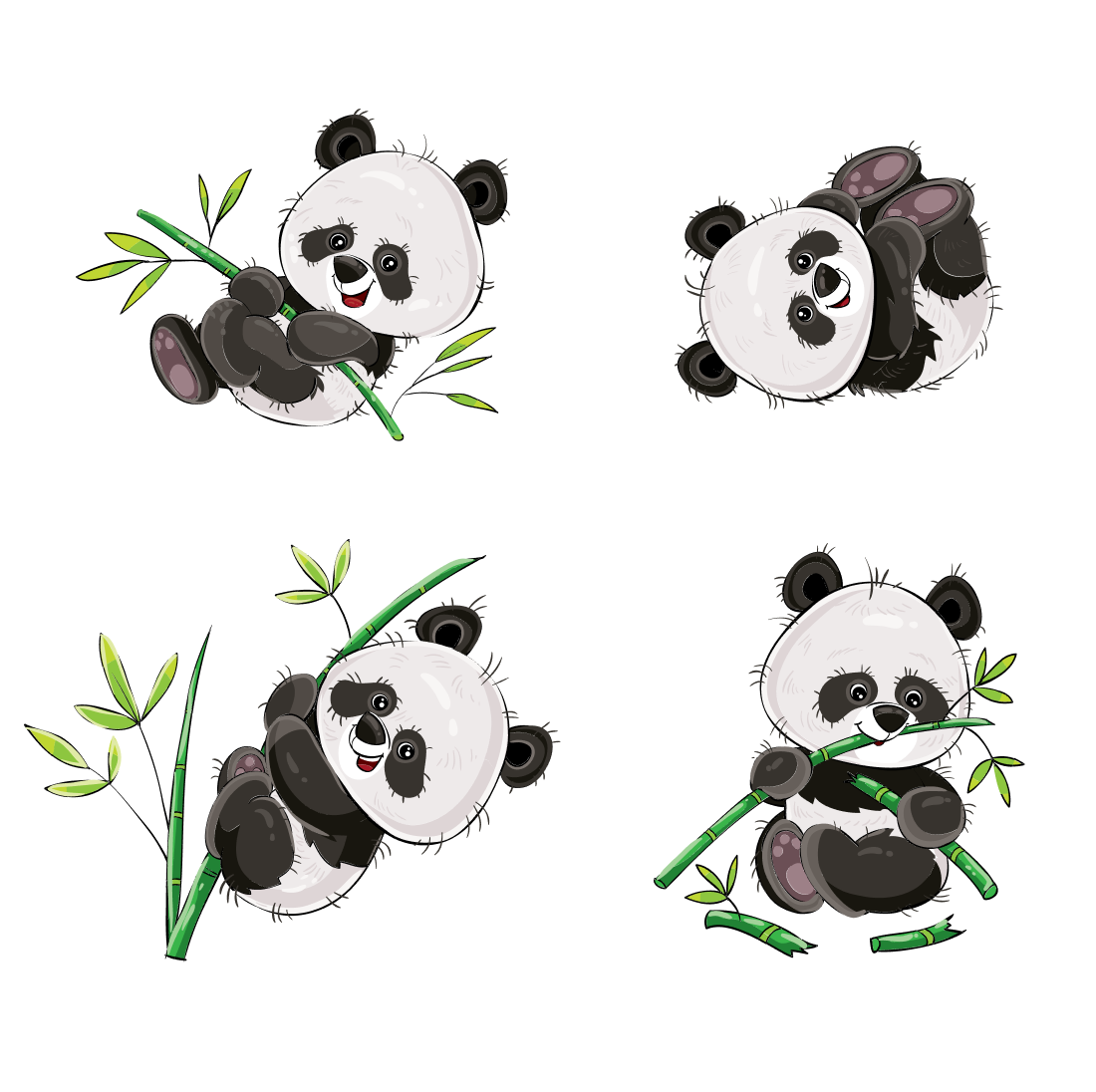 Set of four pandas eating bamboo.