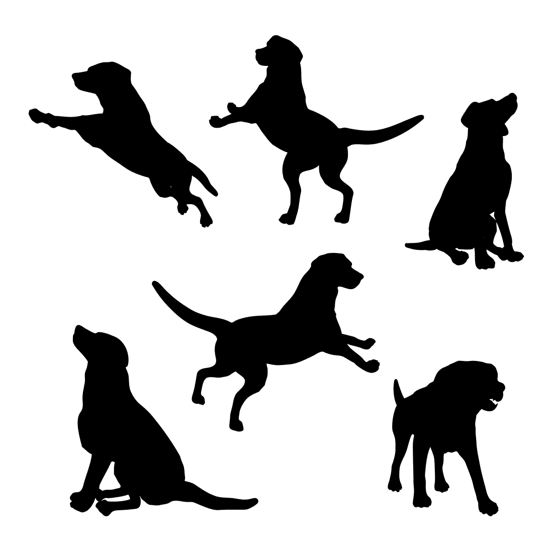 Image of a silhouette of a golden retriever playing and spending its time actively.