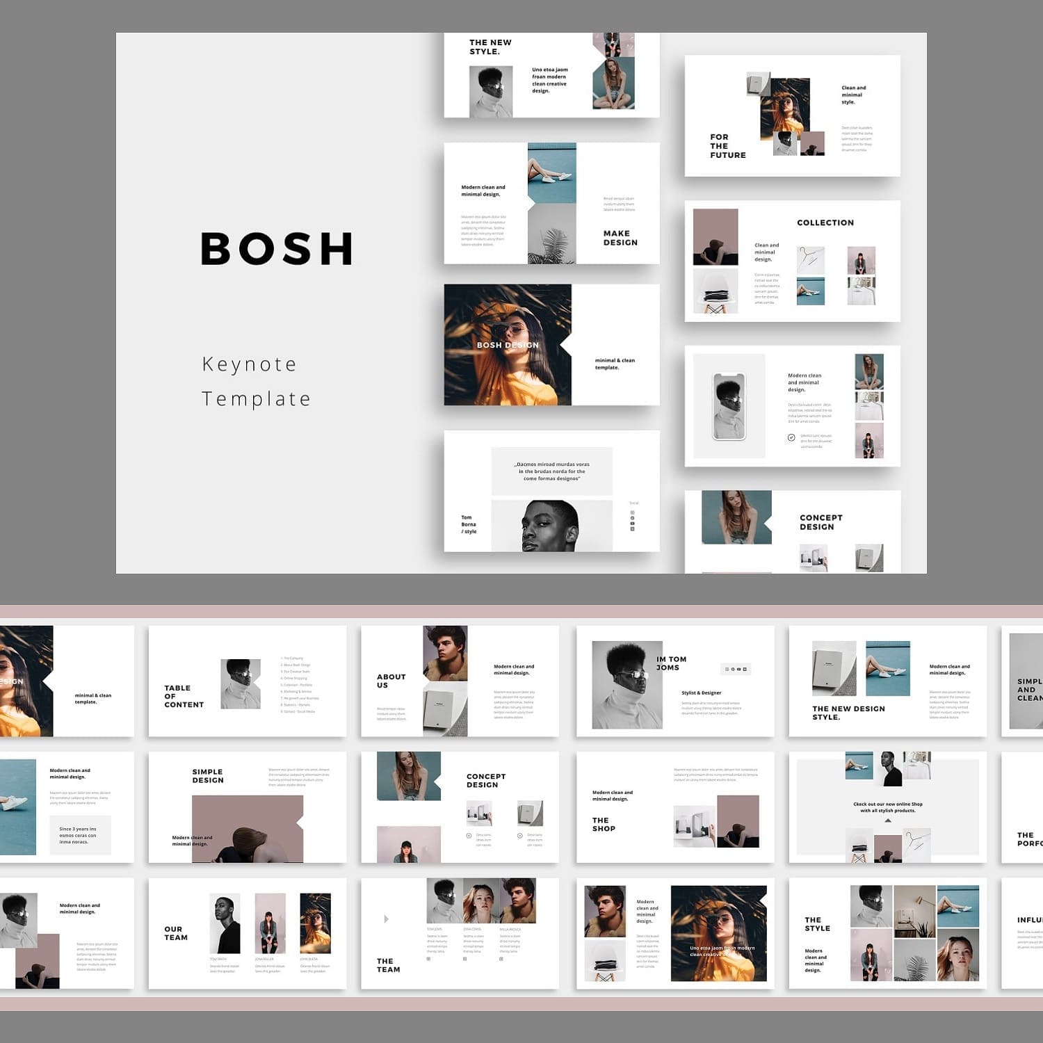 Slide with information about Bosh team.