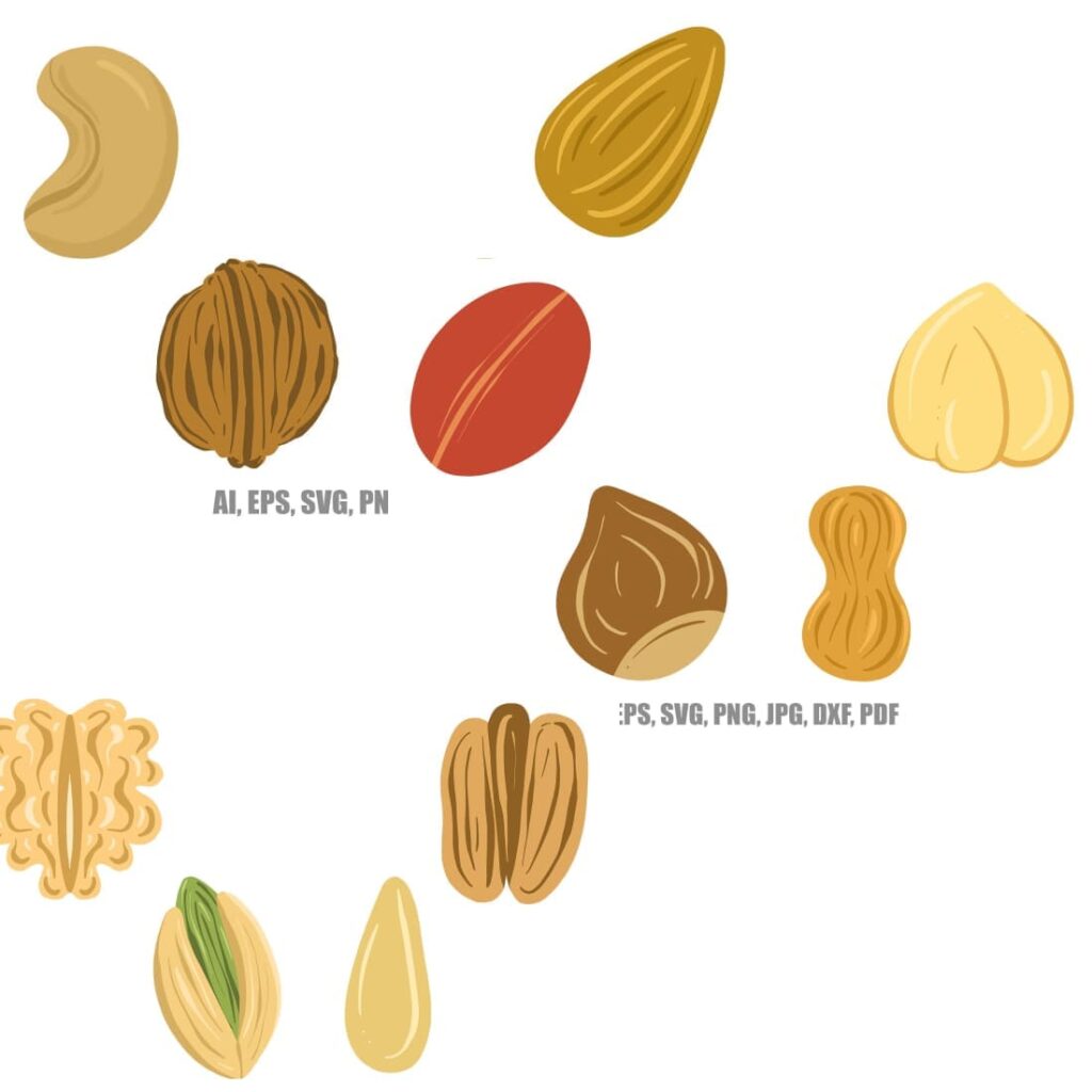 Collection Nuts and Seeds Brazil Walnut Cashew Pecan Almond MasterBundles