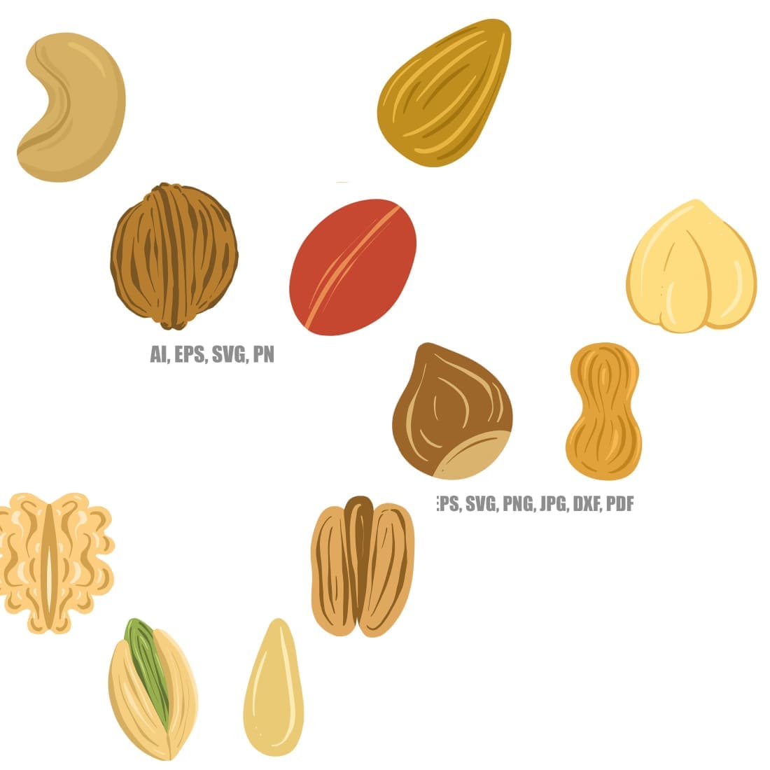 Second picture 1100x1100, collection nuts, seeds brazil walnut, cashew, pecan, almond.