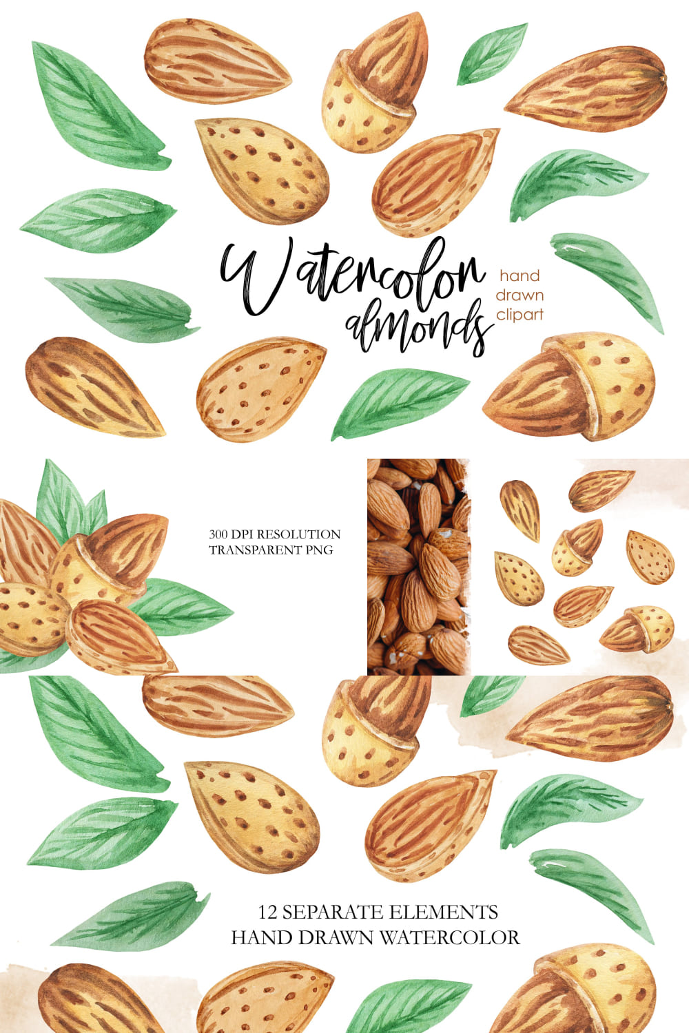 Almond grains are depicted on a transparent background.