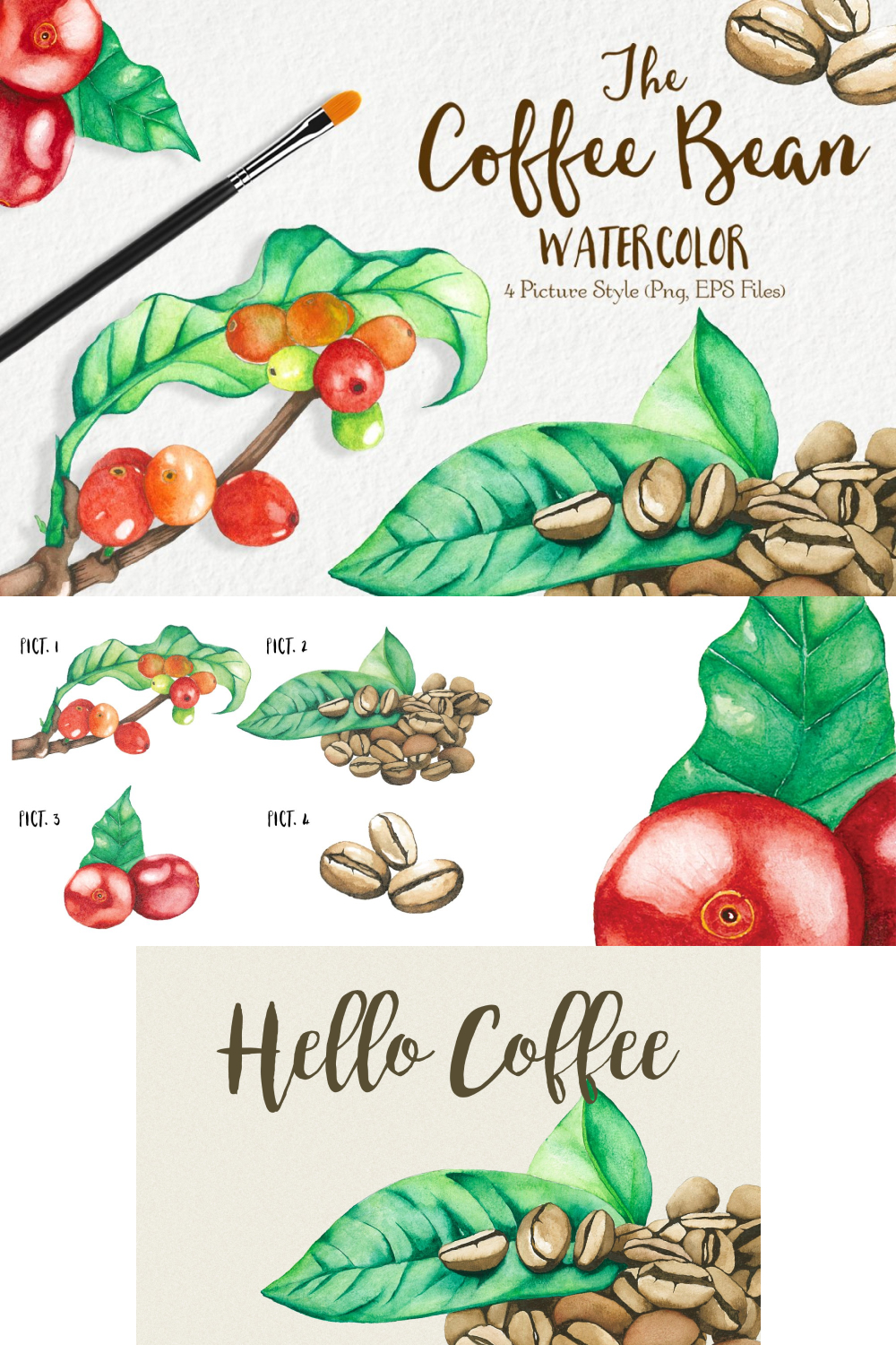 Watercolor coffee bean images of pinterest.