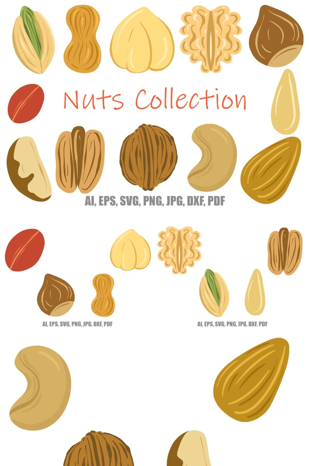 Collection nuts, seeds brazil walnut, cashew, pecan, almond, picture for Pinterest 1000x1500.