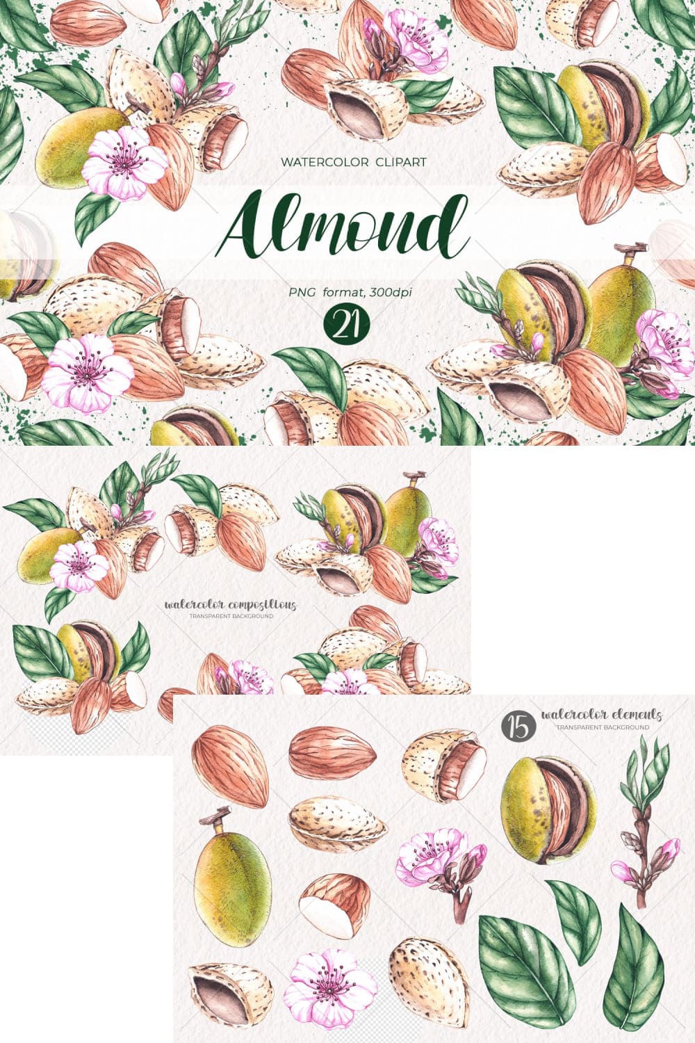Watercolor almond, watercolor clipart PNG, picture for Pinterest 1000x1500.