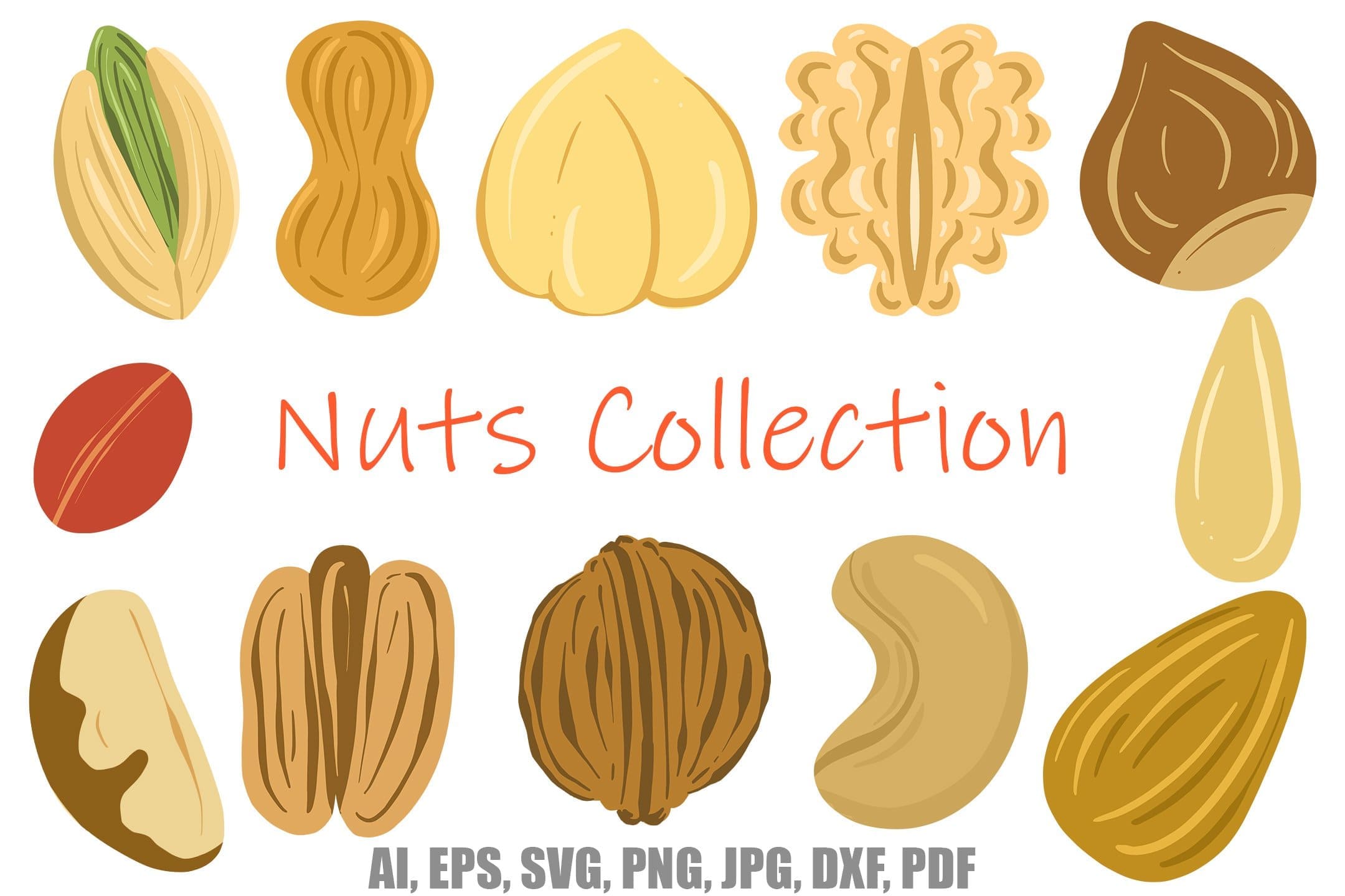 Nuts and seed, logo illustration collection pecan, cashew, almond, walnut by Squeeb Creative.