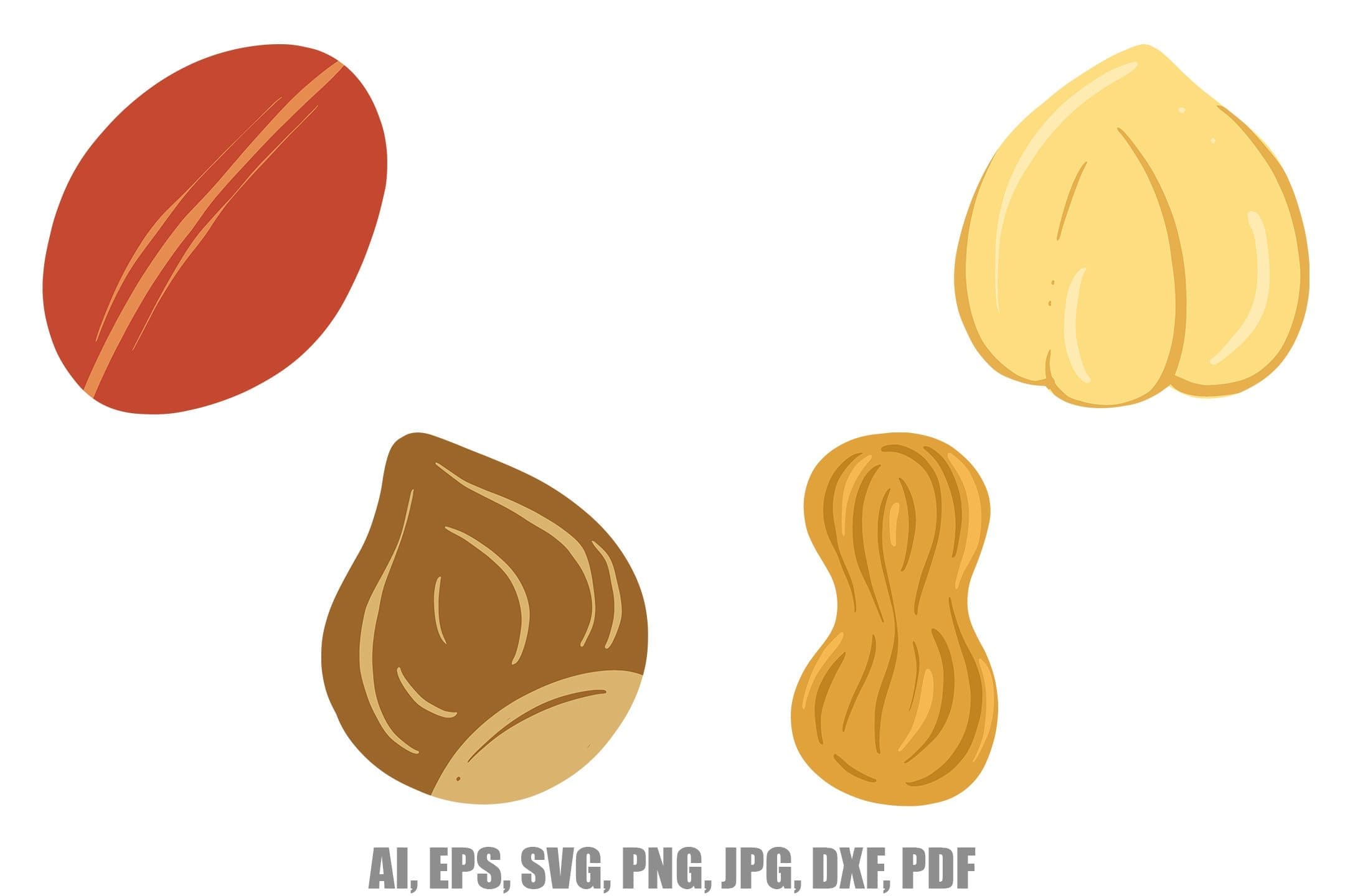 Collection of illustrations of nuts and seeds: peanut, hazelnut, Brazil nut, cashew.