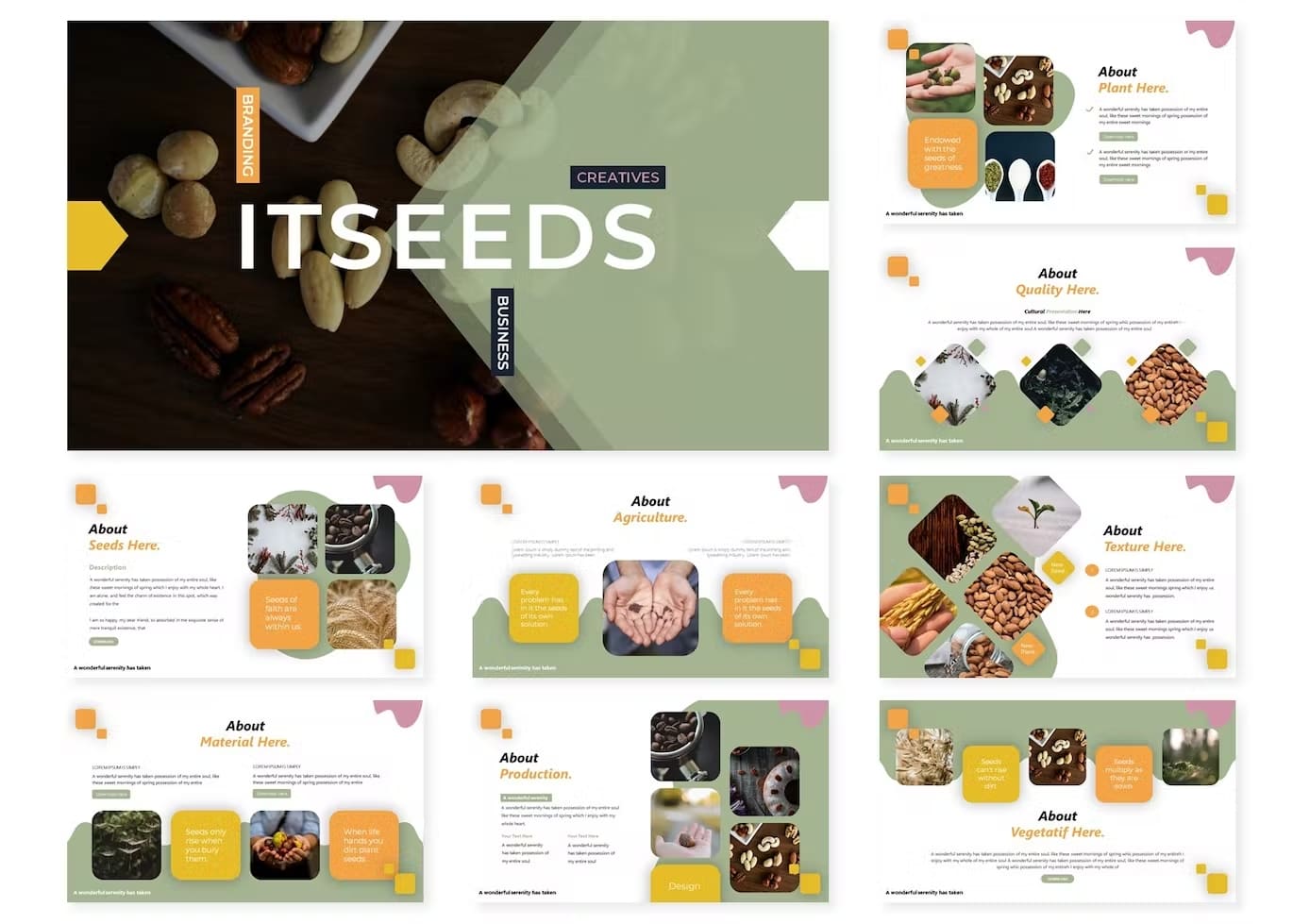 Slides Template Itseeds: About Plant Here, About Quality Here, About Seeds, About Agriculture.