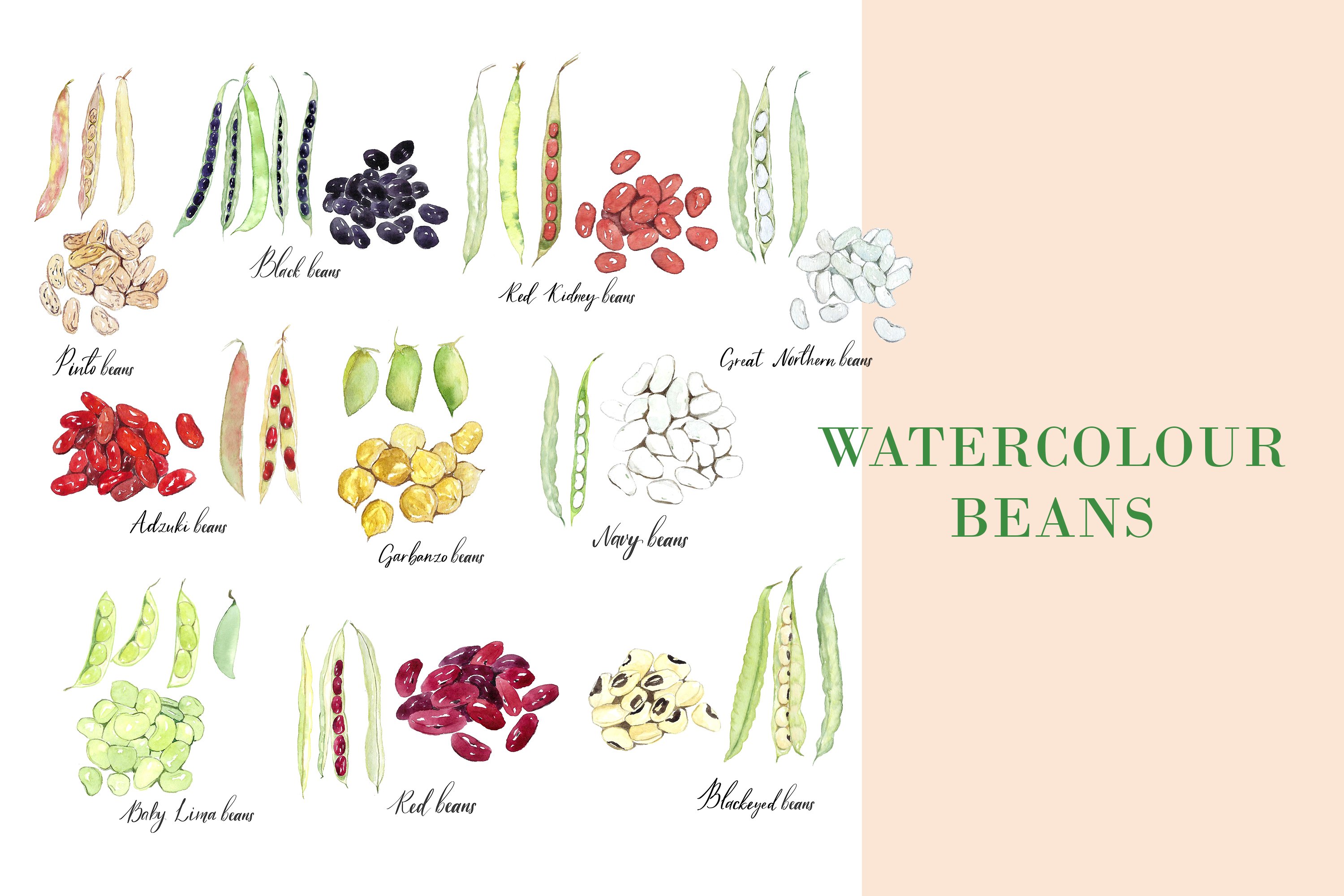 Wonderful different beans.