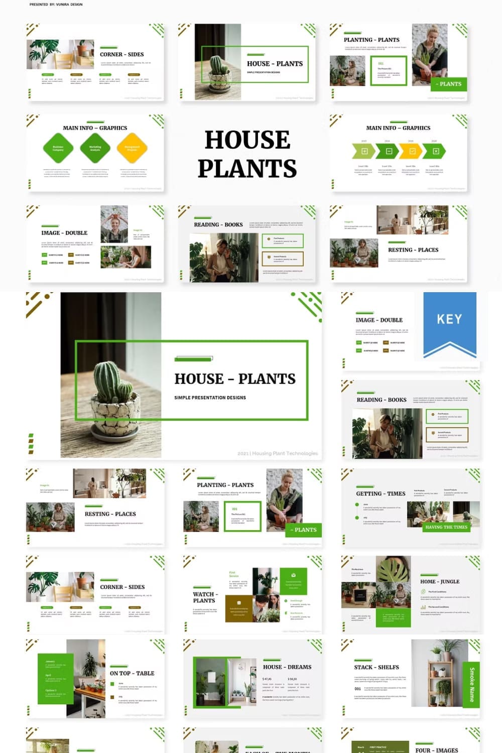 House plants decorate cabinets, improve the atmosphere, etc.
