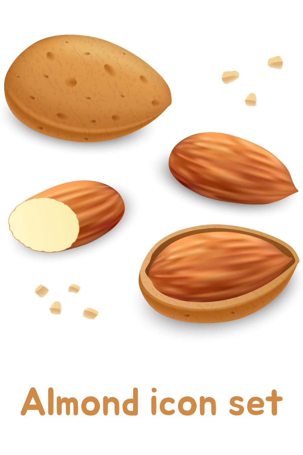 Realistic image of almond in shell.