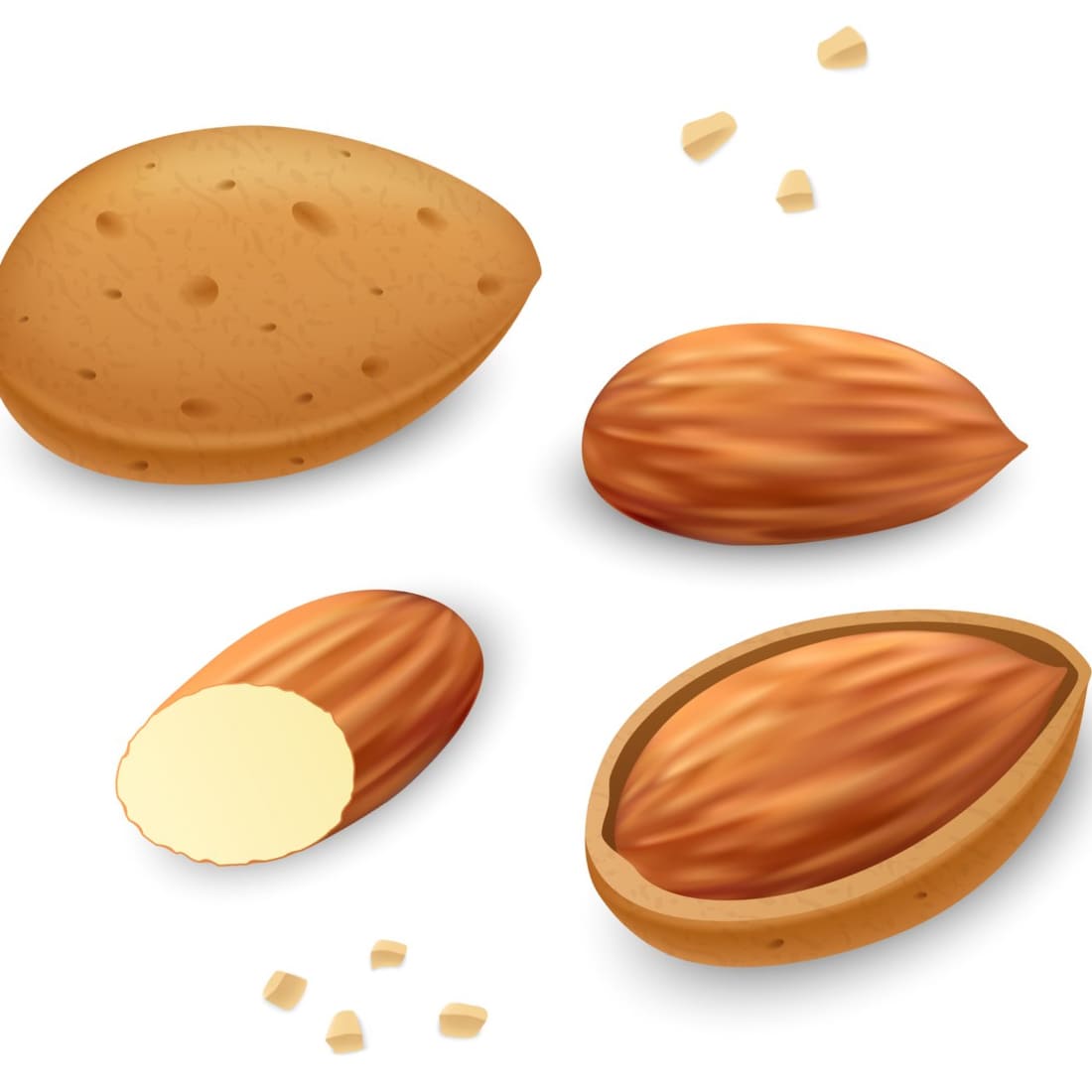 Painted almonds on a white background.