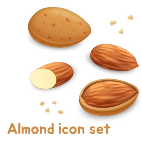 Realistic image of almonds of different sizes.