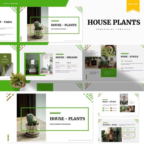 Preview house plants powerpoint template on the computer.